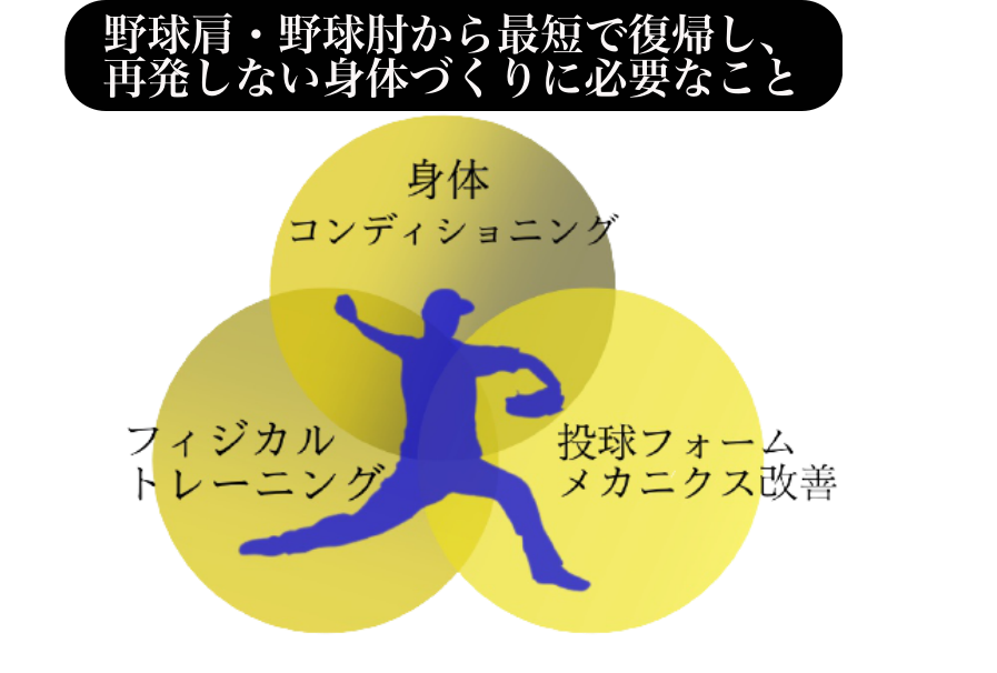 野球肩野球肘治療 完全攻略マニュアル 特典DVD付【整体DVD】 プロ直伝!! 野球ひじ・野球肩の治し方と予防法 | 鈴木 平 |本